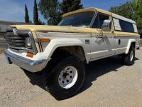 1979 Jeep J10 for sale in Michigan (ID-141825)