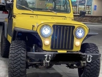 1979 Jeep Wrangler for sale in Michigan (ID-96064)