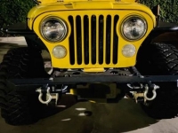 1979 Jeep Wrangler for sale in Michigan (ID-96064)