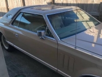 1979 Lincoln Continental for sale in Michigan (ID-111704)