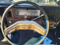 1979 Lincoln Continental for sale in Michigan (ID-121096)