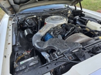 1979 Lincoln Continental for sale in Michigan (ID-131331)
