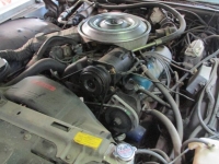 1979 Lincoln Continental for sale in Michigan (ID-134914)
