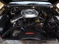1979 Lincoln Continental for sale in Michigan (ID-138009)