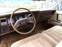 1979 Lincoln Continental for sale in Michigan (ID-138009)