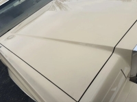 1979 Lincoln Continental for sale in Michigan (ID-140385)