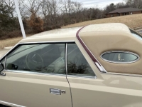 1979 Lincoln Continental for sale in Michigan (ID-140385)