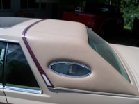 1979 Lincoln Continental for sale in Michigan (ID-161555)