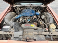 1979 Lincoln Continental for sale in Michigan (ID-163297)