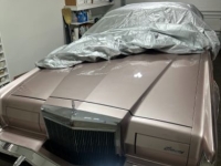 1979 Lincoln Mark V for sale in Michigan (ID-134619)