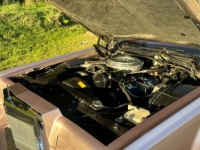 1979 Lincoln Mark V for sale in Michigan (ID-134619)