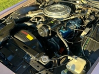 1979 Lincoln Mark V for sale in Michigan (ID-134619)