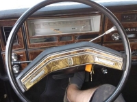 1979 Lincoln Town Car for sale in Michigan (ID-106668)