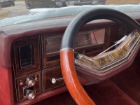 1979 Lincoln Town Car for sale in Michigan (ID-110416)
