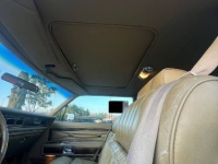 1979 Lincoln Town Car for sale in Michigan (ID-155359)