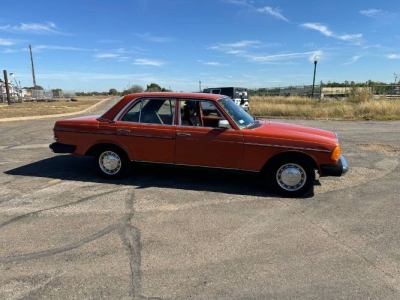 1979 Mercedes-Benz 300D for sale
