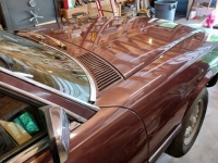 1979 Mercedes-Benz 450 SL for sale in Michigan (ID-118620)