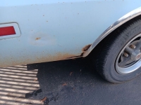 1979 Mercury Bobcat for sale in Michigan (ID-131218)