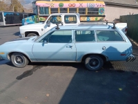 1979 Mercury Bobcat for sale in Michigan (ID-131218)