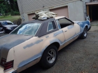 1979 Mercury Cougar for sale in Michigan (ID-113642)