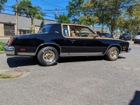 1979 Oldsmobile Cutlass for sale in Riverhead, New York (ID-125209)