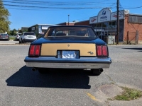 1979 Oldsmobile Cutlass for sale in Riverhead, New York (ID-125209)