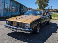 1979 Oldsmobile Cutlass for sale in Riverhead, New York (ID-125209)