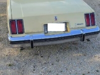 1979 Oldsmobile Cutlass for sale in Michigan (ID-135054)
