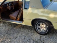1979 Oldsmobile Cutlass for sale in Michigan (ID-135054)