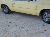 1979 Oldsmobile Cutlass for sale in Michigan (ID-135054)