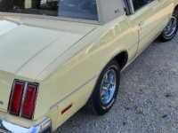 1979 Oldsmobile Cutlass for sale in Michigan (ID-135054)