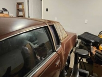 1979 Oldsmobile Cutlass for sale in Michigan (ID-139582)