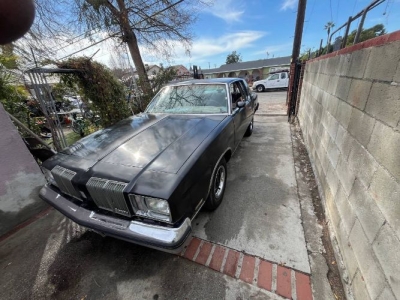 1979 Oldsmobile Cutlass for sale