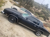 1979 Oldsmobile Cutlass for sale in Michigan (ID-139970)
