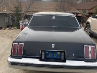 1979 Oldsmobile Cutlass for sale in Michigan (ID-139970)
