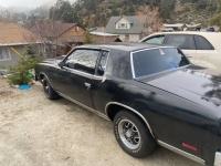 1979 Oldsmobile Cutlass for sale in Michigan (ID-139970)