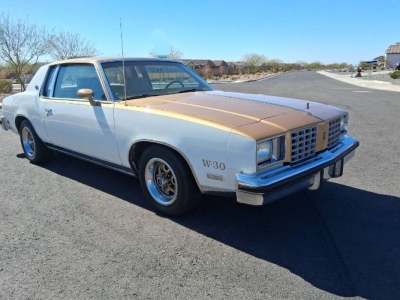 1979 Oldsmobile Cutlass for sale
