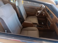 1979 Oldsmobile Cutlass for sale in Michigan (ID-155533)