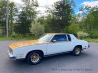 1979 Oldsmobile Cutlass for sale in Wind Gap, Pennsylvania (ID-163805)