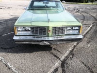 1979 Oldsmobile Delta 88 for sale in Michigan (ID-121973)