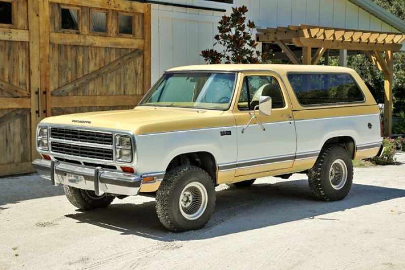 1979 Plymouth Trail Duster for sale in Michigan (ID-94005)