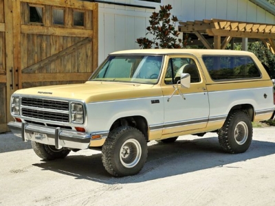 1979 Plymouth Trail Duster for sale