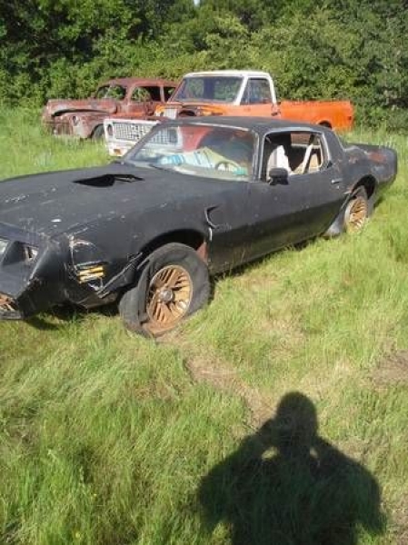 1979 Pontiac Firebird for sale (ID-99310) 1979 Pontiac Firebird for sale (ID-99310)