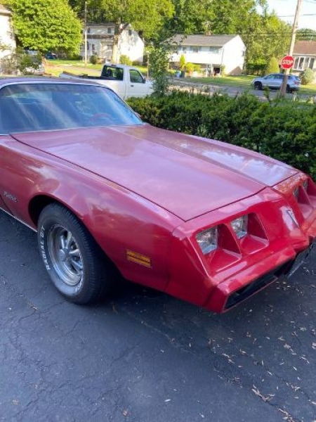 1979 Pontiac Firebird for sale in Michigan (ID-102760) 1979 Pontiac Firebird for sale in Michigan (ID-102760)