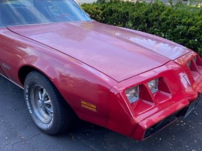 1979 Pontiac Firebird for sale