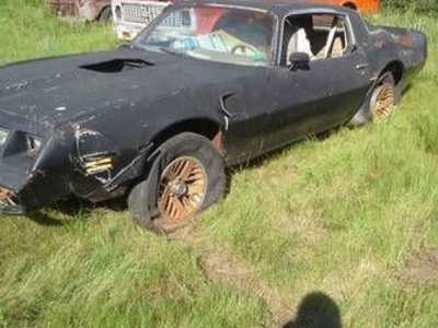 1979 Pontiac Firebird for sale