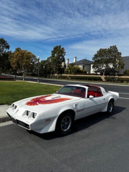 1979 Pontiac Firebird for sale in Michigan (ID-115578) 1979 Pontiac Firebird for sale in Michigan (ID-115578)