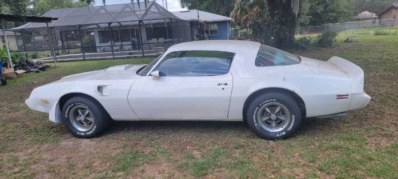 1979 Pontiac Firebird for sale in Michigan (ID-116568)