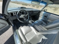 1979 Pontiac Firebird for sale in Michigan (ID-119086)