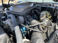 1979 Pontiac Firebird for sale in Michigan (ID-119086)